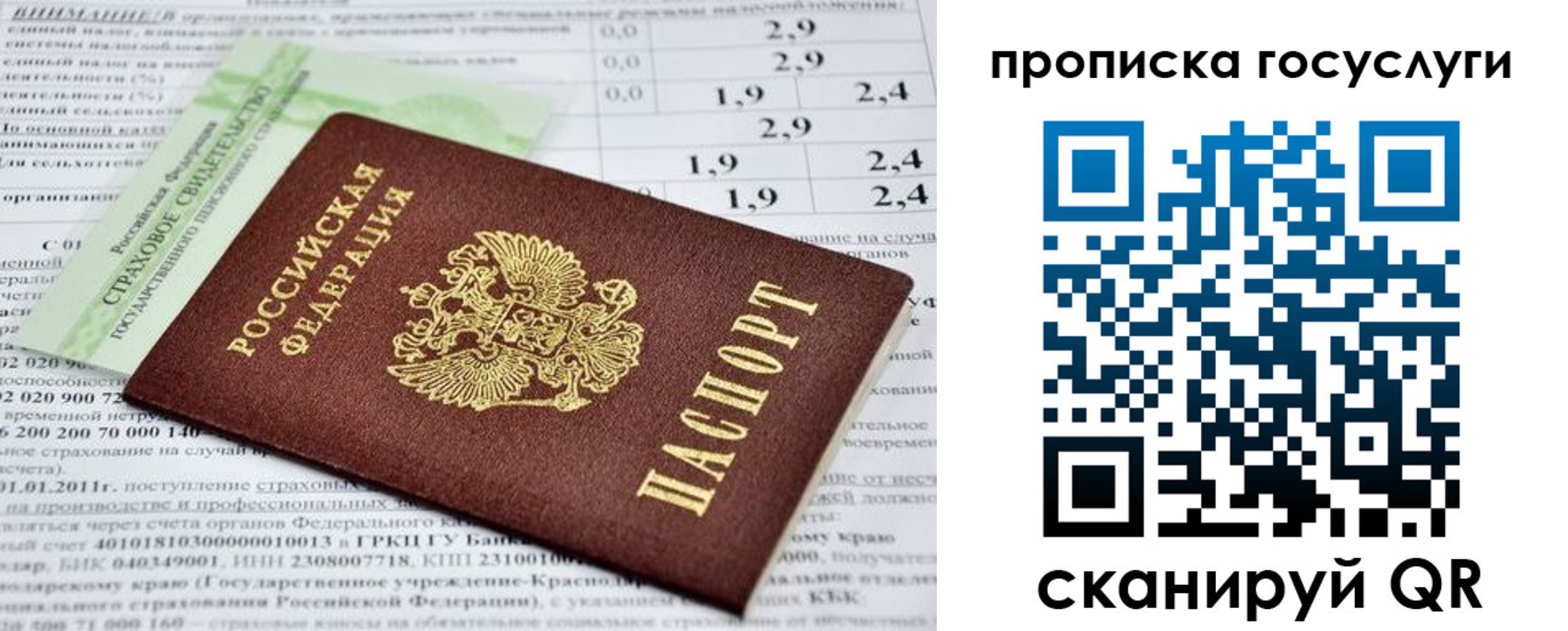 прописка паспорт в Лодейном Поле